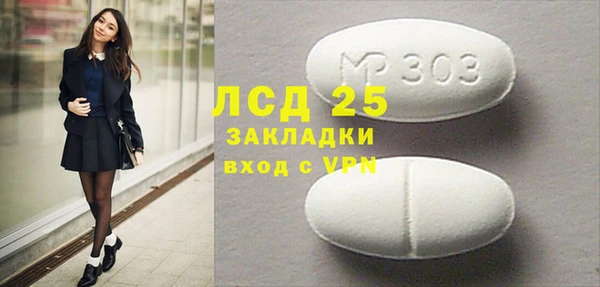 прущие грибы Абинск