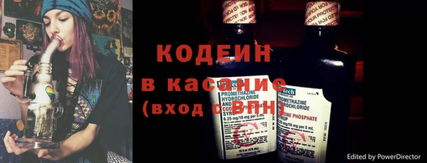 прущие грибы Абинск