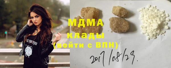 прущие грибы Абинск