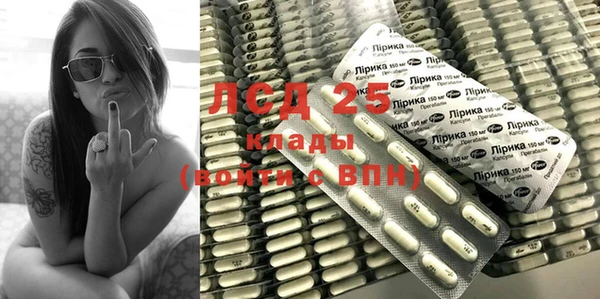 прущие грибы Абинск