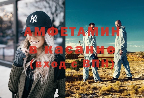 прущие грибы Абинск