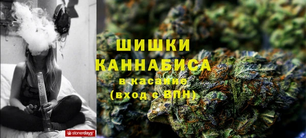 прущие грибы Абинск