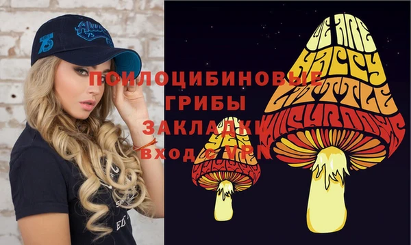 прущие грибы Абинск