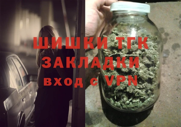 прущие грибы Абинск